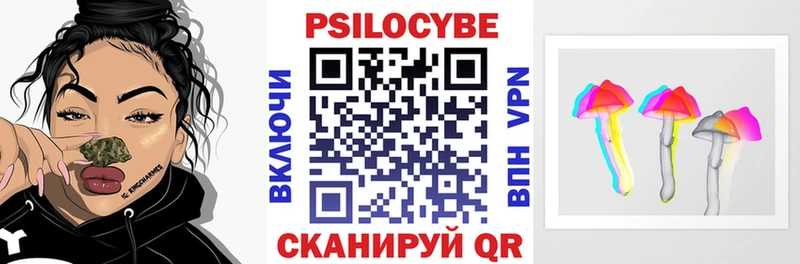 Галлюциногенные грибы Psilocybe  Купить  Сенгилей 